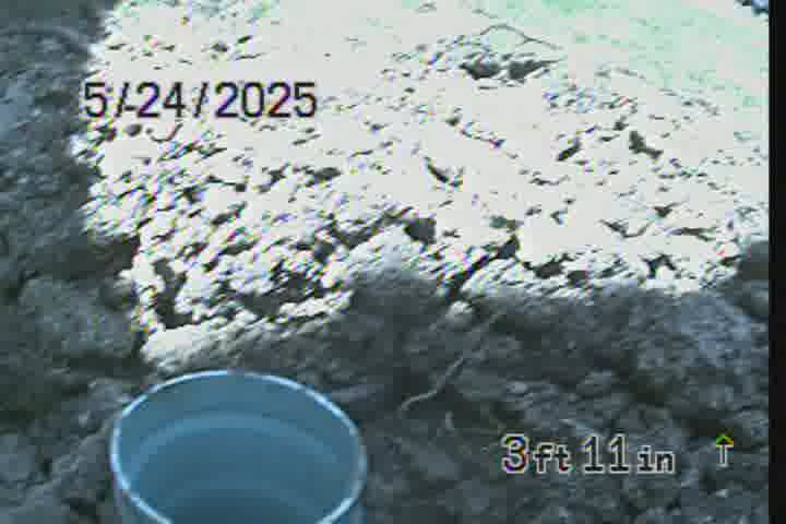 Frame